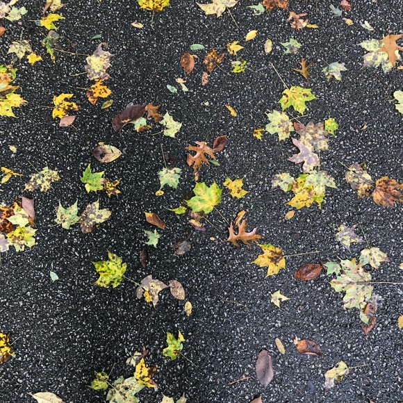 chloe2542
